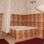 Bodzavirag