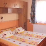 Bodzavirag