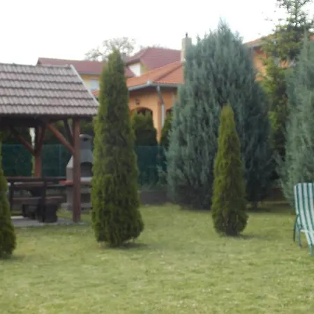 Bodzavirag זלקרוס