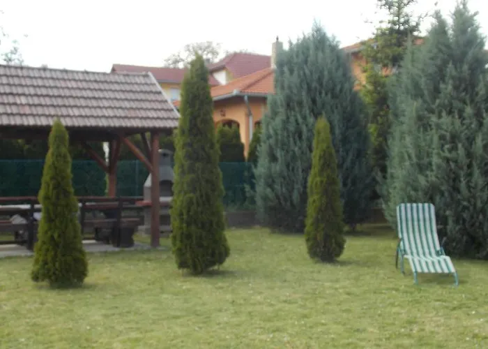 Bodzavirag זלקרוס