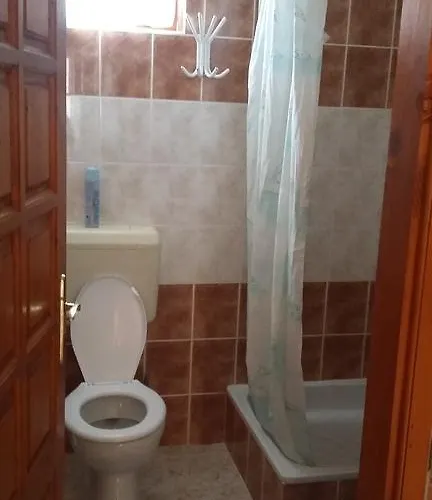 Bodzavirag